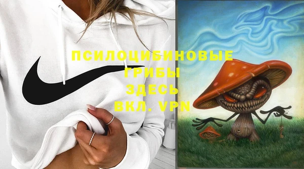 прущие крисы Лабытнанги