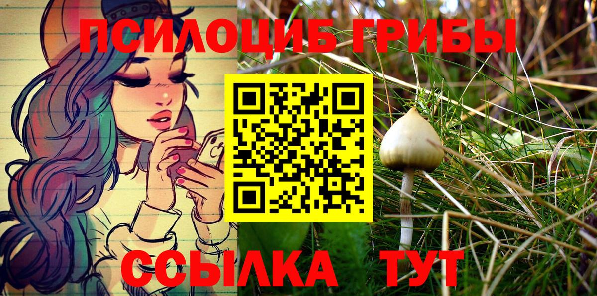 Галлюциногенные грибы мицелий Екатеринбург