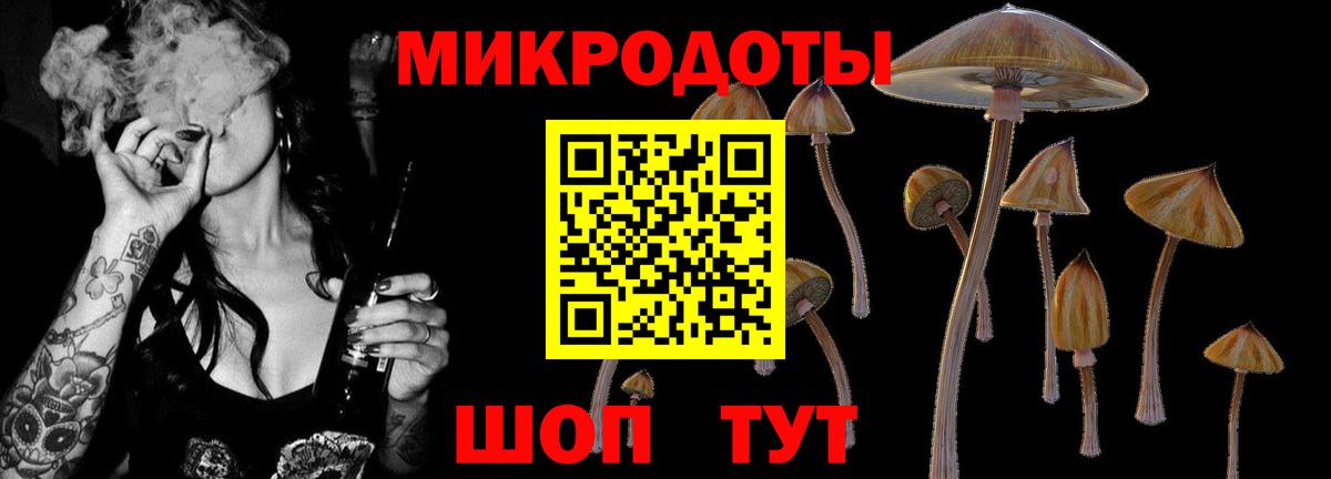 Псилоцибиновые грибы MAGIC MUSHROOMS  Псилоцибиновые грибы GOLDEN TEACHER  Вход с VPN  Екатеринбург 